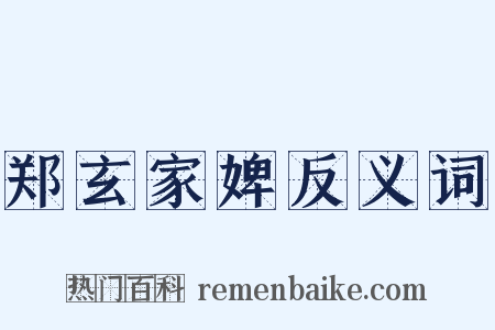 郑玄家婢反义词是什么意思的图片